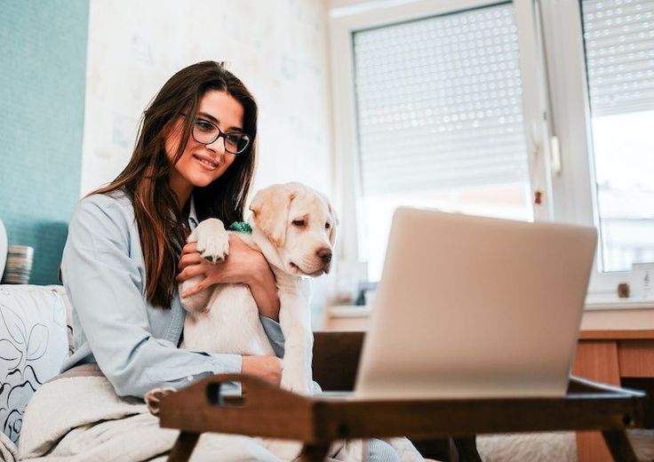 A property manager looking concerned while reviewing documents, with a digital tablet displaying pet screening data, symbolizing the new compliance challenges and the need for upgraded infrastructure in 2026.